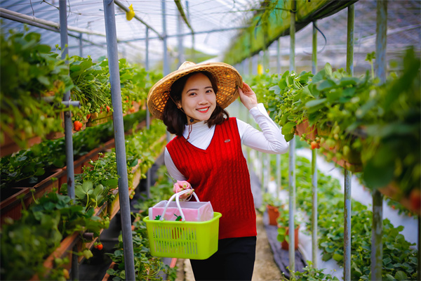 快讯|现货黄金回落至3220美元/盎司下方 日内跌幅0.65%